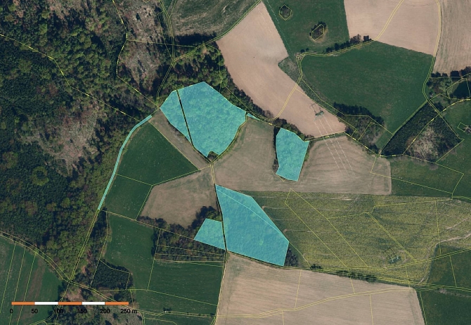 Prodej pozemku lesy pozemek 41070 m², Věž,Havlíčkův Brod,Kraj Vysočina